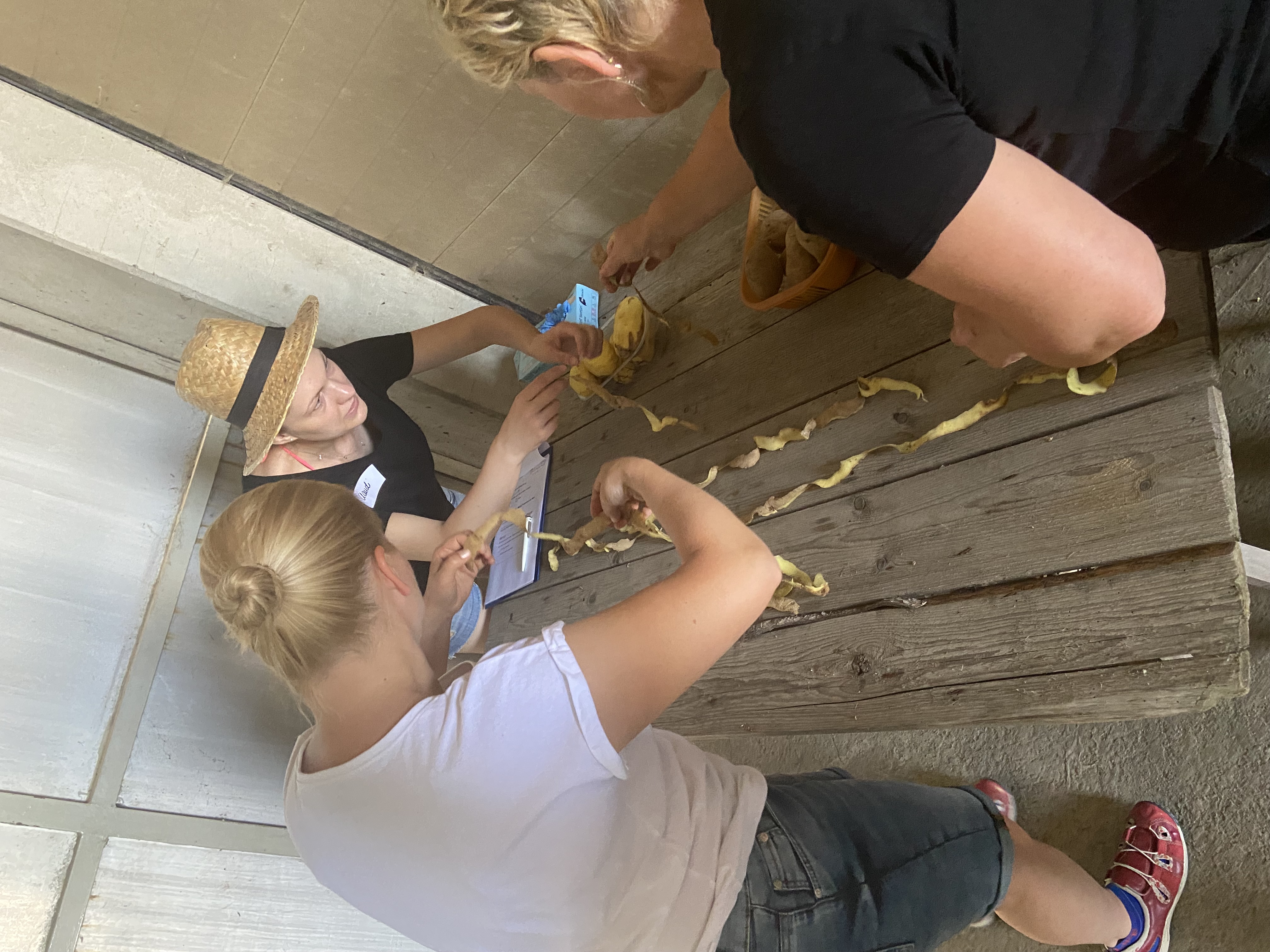 Bauernhofrallye als Teamevent-Firmenevent 