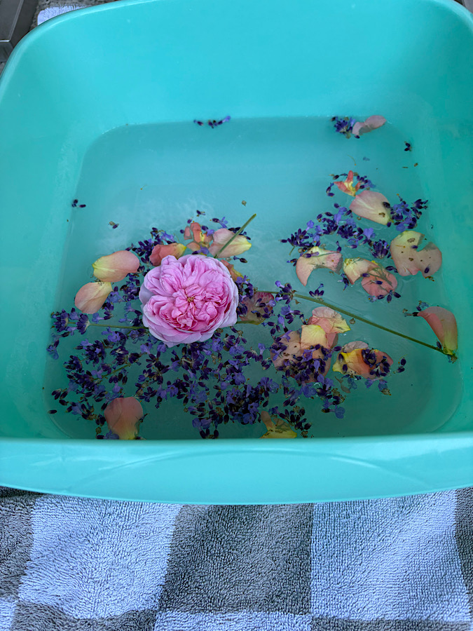 Fußbad mit Kräutern für Reisegäste-ankommen-am-Bauernhof-mit-Rosen-Lavendelstängel