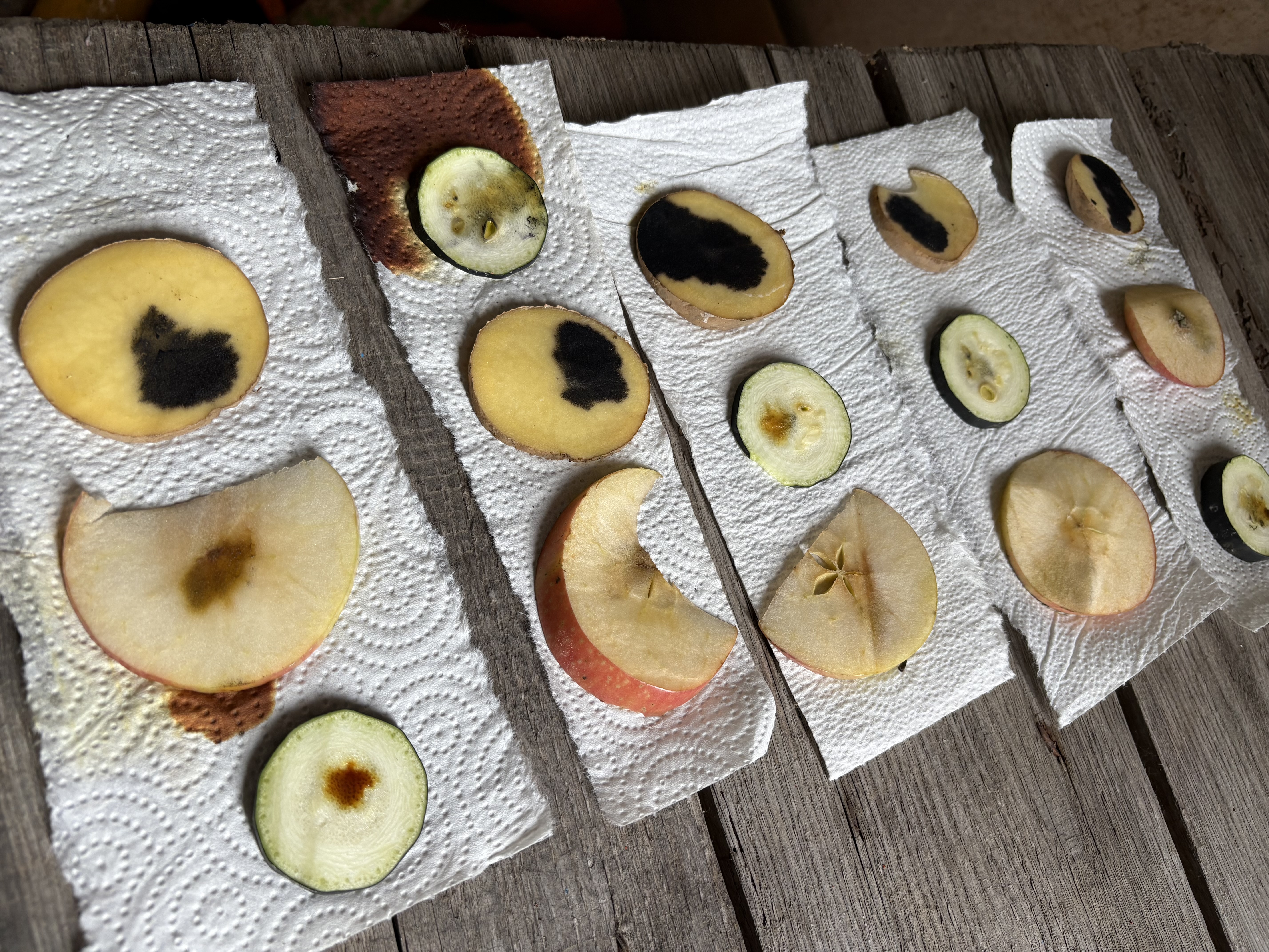 Experimente-fuer-gruppenreisende-teambuilding-lernen-mit-kartoffeln-event-am-bauernhof-guenstige-angebote-bayern-nahe-muenchen