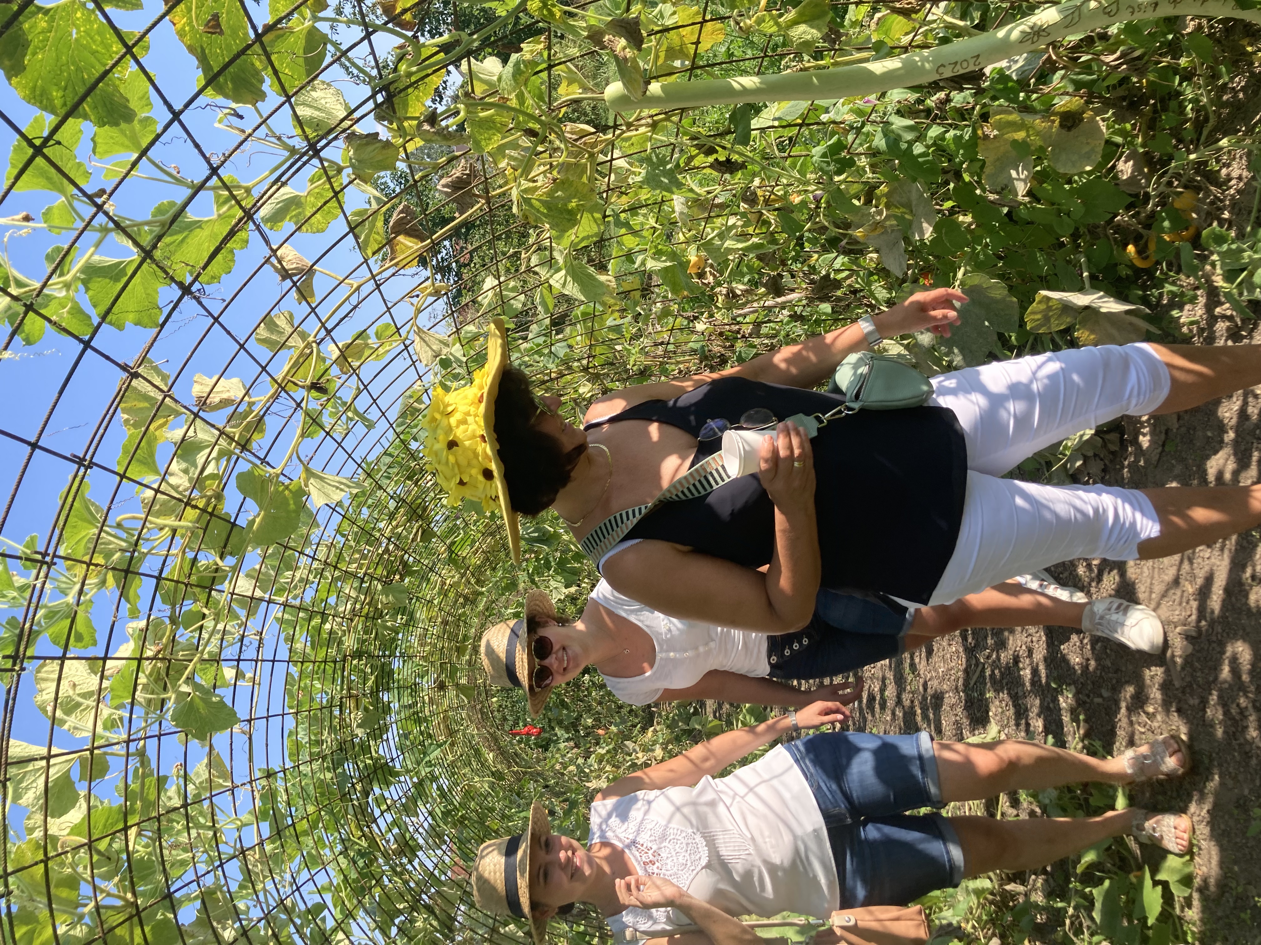 frsauen-wandern-durch-kuerbis-tunnel-abenteuer-neues-sehen-idden-kommen-fuer-deko-sommer-event-bauernhof-ideales-programm-fuer-firmenevents-firmen