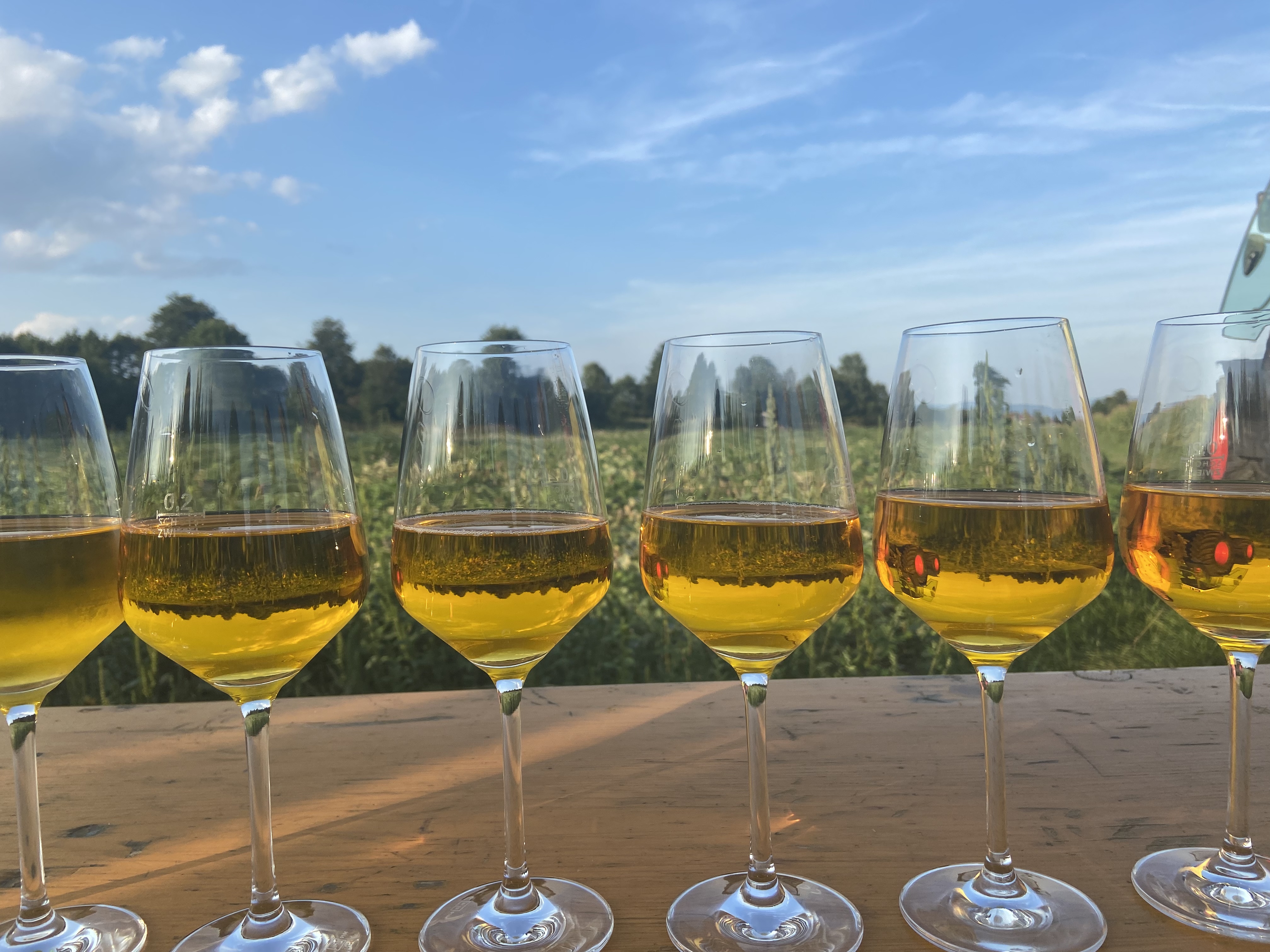 Bauernhofrallye als Teamevent-Firmenevent 